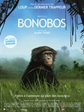 Photo : Bonobos