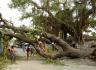- Le 14 avril 2010 : des vents de 120 km/h ont détruit des habitations et arraché des arbres en Inde et au Bangladesh. - AFP -