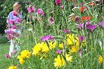 Balade poétique dans le jardin de Nadine
