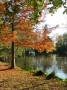 automne au Parc de Majolan