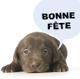 Bonne fête